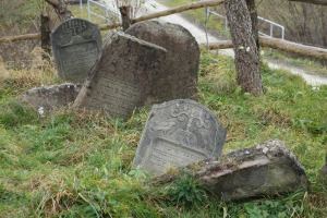 Tombstones in the Lutowiska Jewish Cemetery